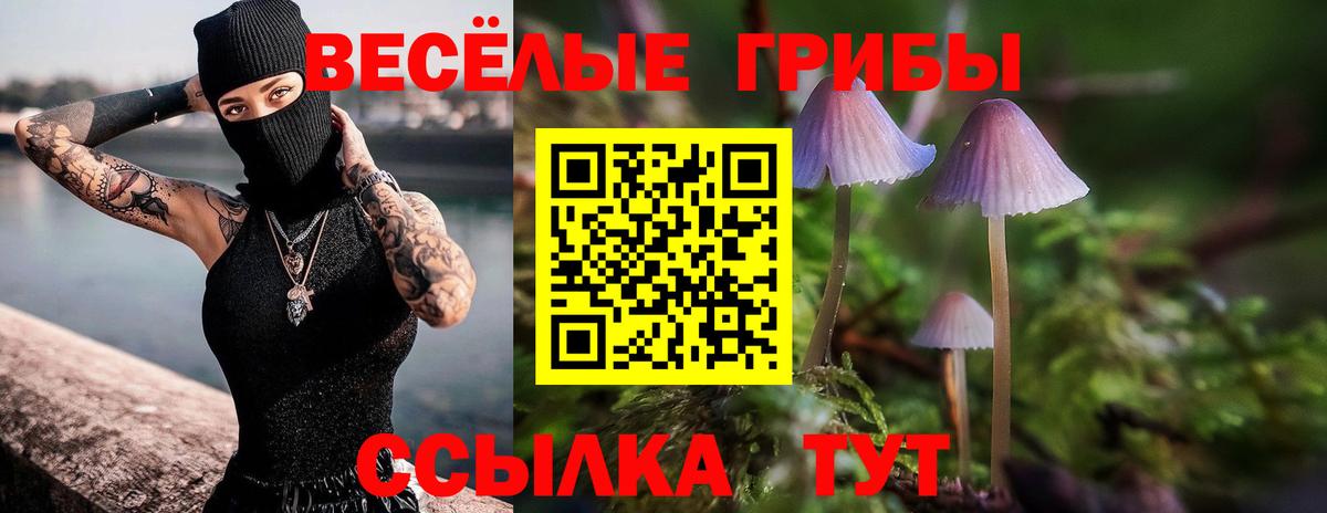Зеленокумск  Псилоцибиновые грибы мухоморы  Галлюциногенные грибы мицелий  Вход с VPN 