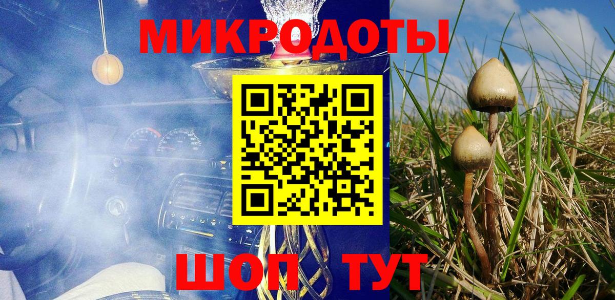Псилоцибиновые грибы Cubensis Зеленокумск
